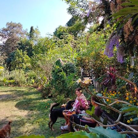 Ban Suan Nai Fun Homestay Pua Exterior photo