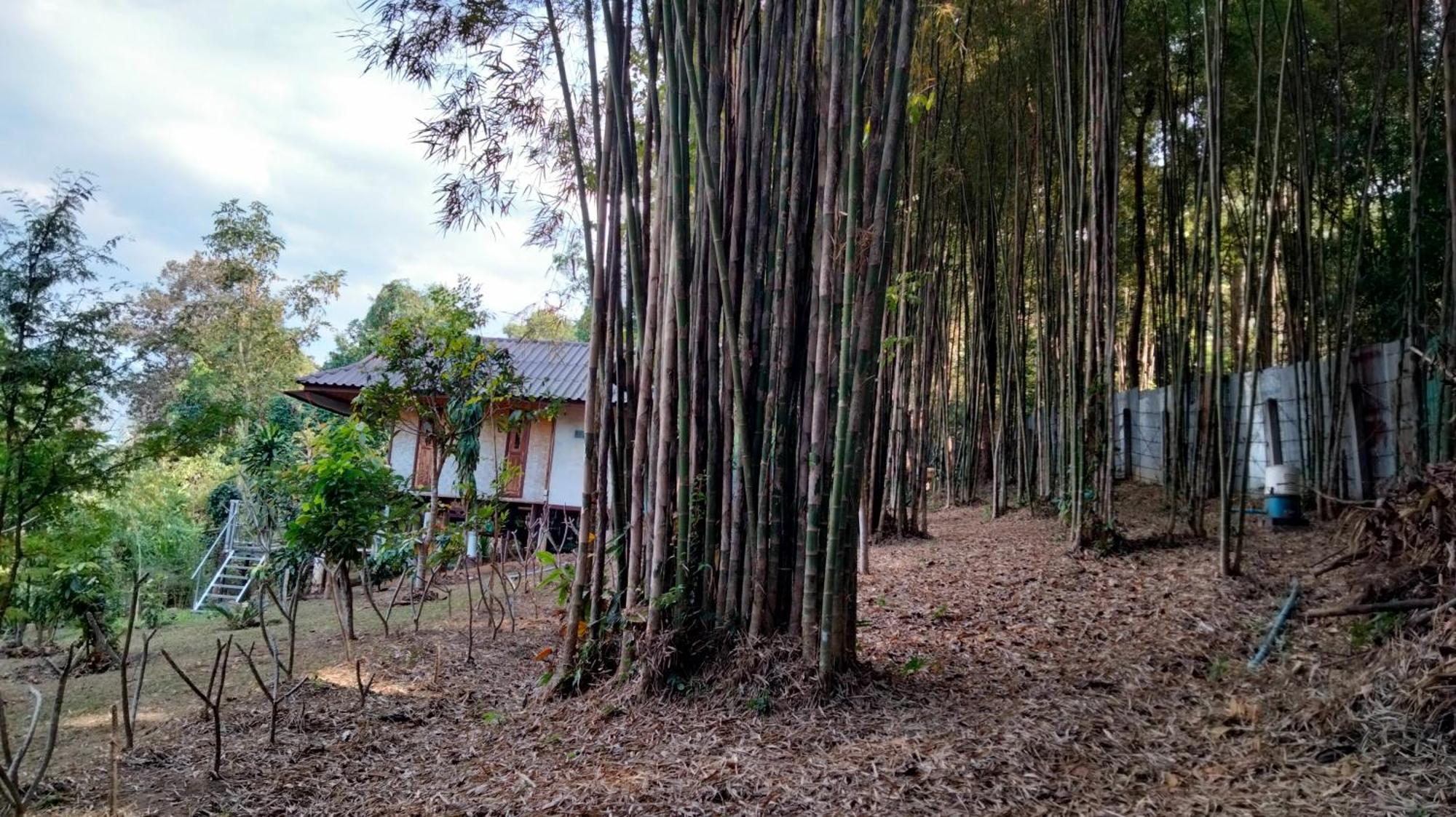 Ban Suan Nai Fun Homestay Pua Exterior photo